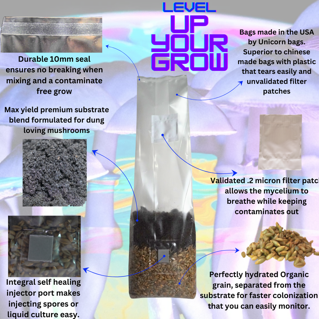 All In One Mushroom Grow Bag Bundle 16 Count