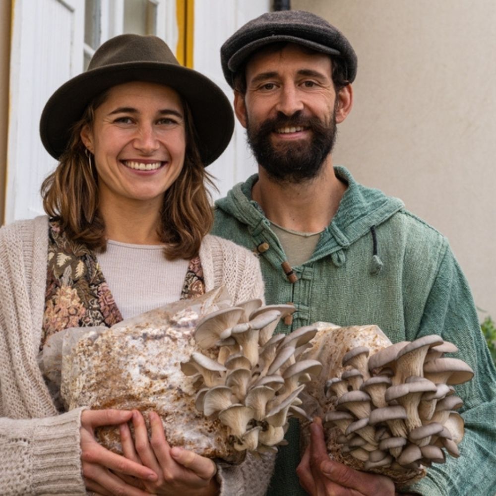 Gold Oyster Mushroom Grow Kit Fruiting Block - 5 LBS