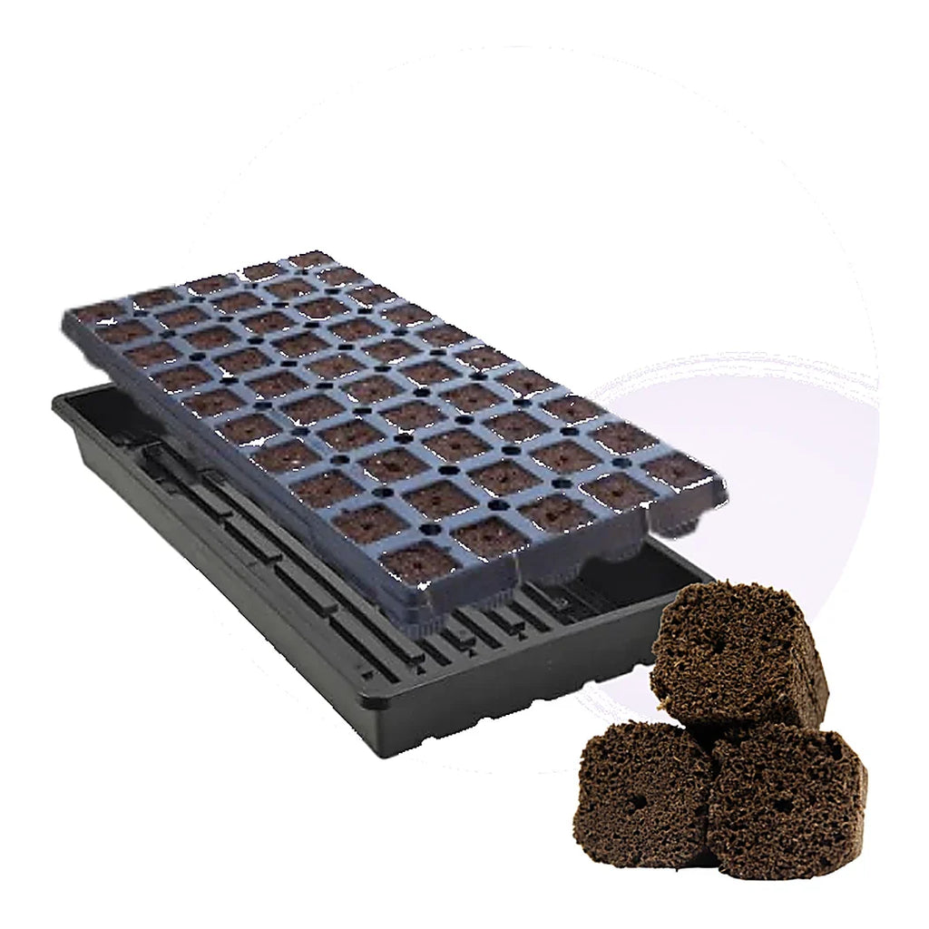 OrganiPlug Pre-Filled Tray, 50 Plugs at 1.25 in, Case or Pallet